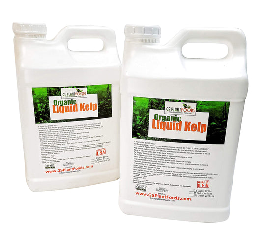 Organic Kelp Fertilizer by GS Plant Foods - OMRI Listed(1 Gallon) - Liquid Kelp Concentrate for Gardens, Lawns & Soil Yields 800+ gallons