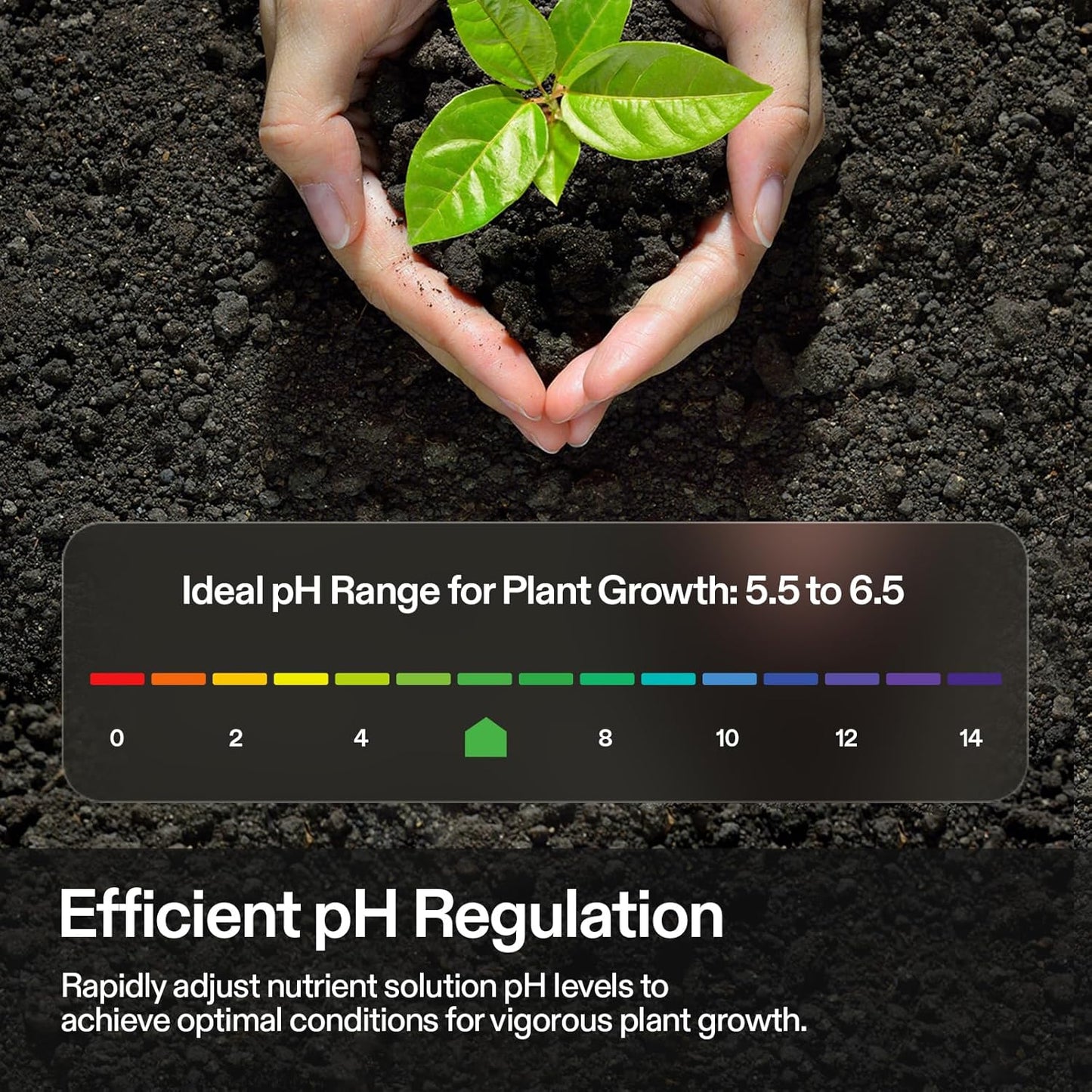 VIVOSUN pH Up & pH Down Kit, 1 Quart Each, pH Control Kit for Balanced pH Level and Optimal Nutrient Uptake, pH Adjuster Liquid Fertilizer for All Plants and All Growing Systems