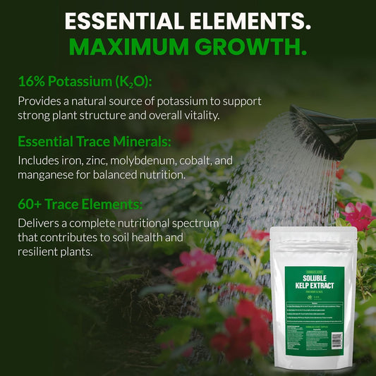 Humboldts Secret Soluble Kelp Extract Powder | 0-0-16 Water Seaweed Fertilizer | Concentrated Nutrients & Minerals for Lawn, Garden, Vegetables, Houseplants, Succulents & Hydroponics | 2 lb Bag