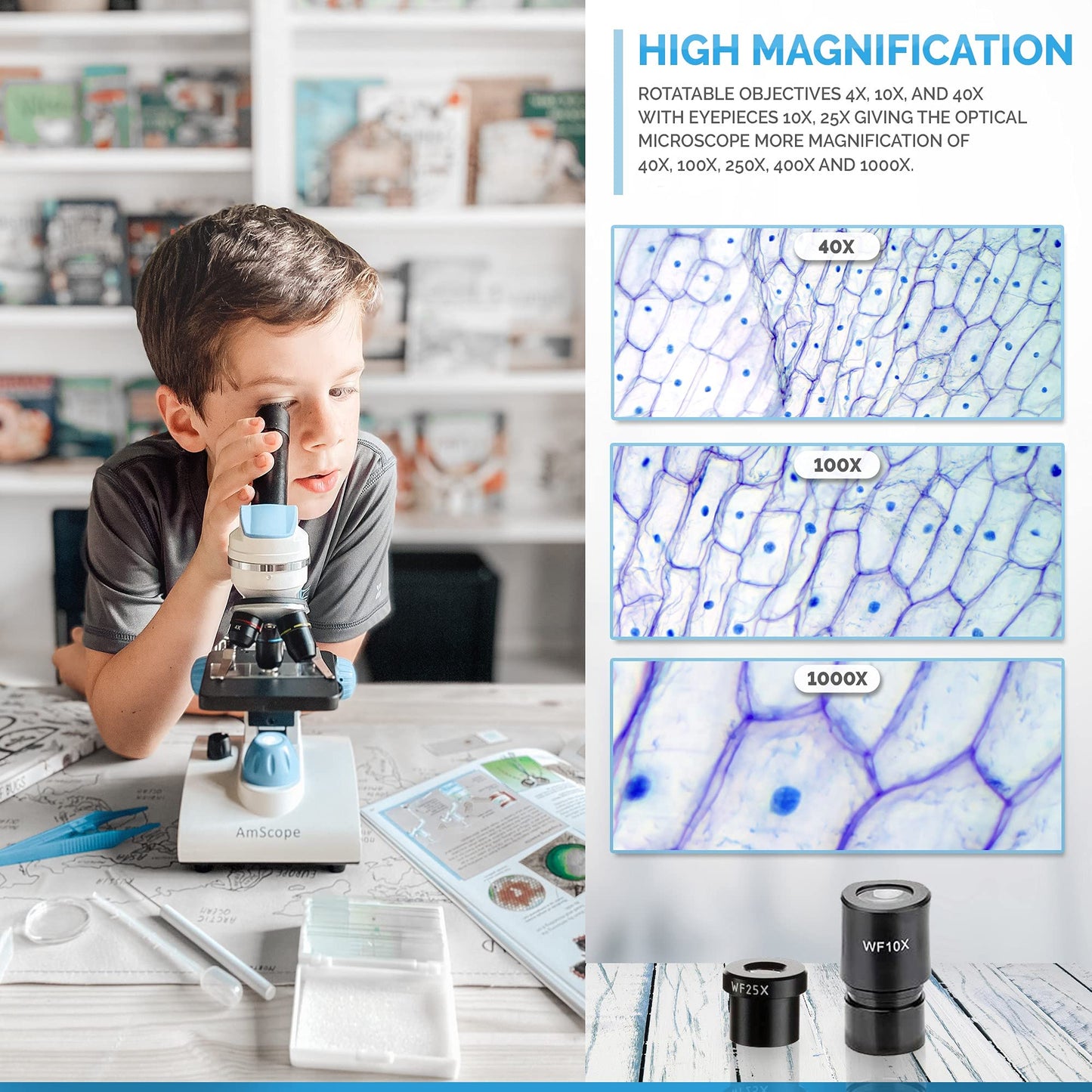 AmScope M162C-2L-PB10-WM"Awarded 2018 Best Students and Kids Microscope Kit" - 40X-1000X Dual Light All Metal Microscope with Slides and Microscope Book, Blue