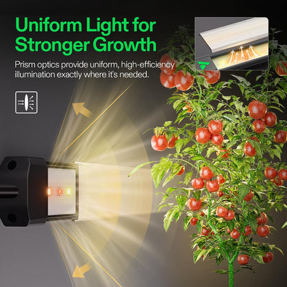 VIVOSUN LumaRay Side Lighting Bar Sets, Pack Options