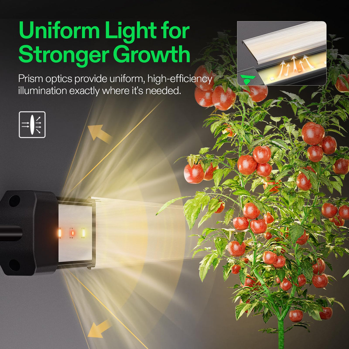 VIVOSUN LumaRay Side Lighting Bar Sets, Pack Options