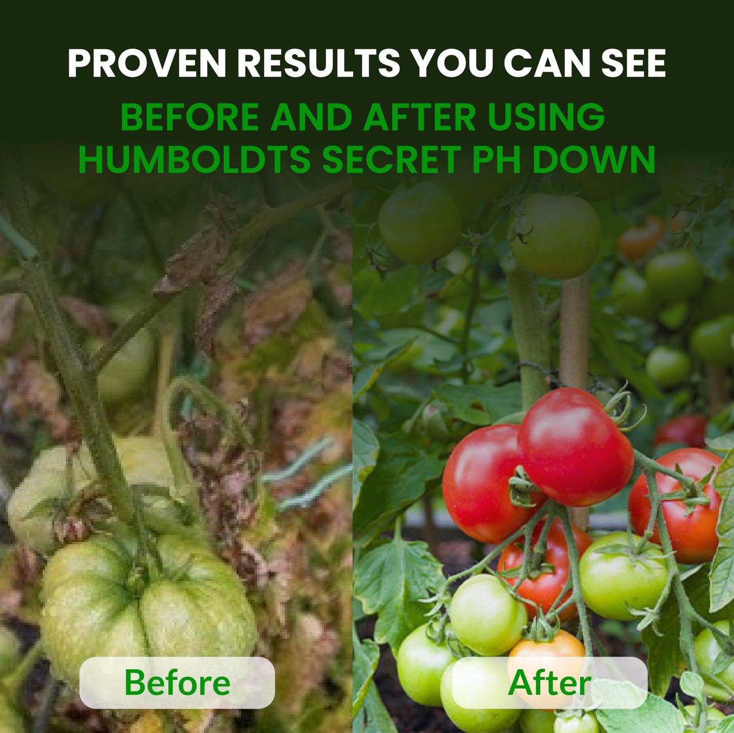 Humboldts Secret pH Down for Plants | Liquid pH Adjuster and Balancer for Soil Coco Hydroponics | Concentrated Phosphoric Acid Solution Supporting Nutrient Uptake and Strong Growth | 32 Ounce