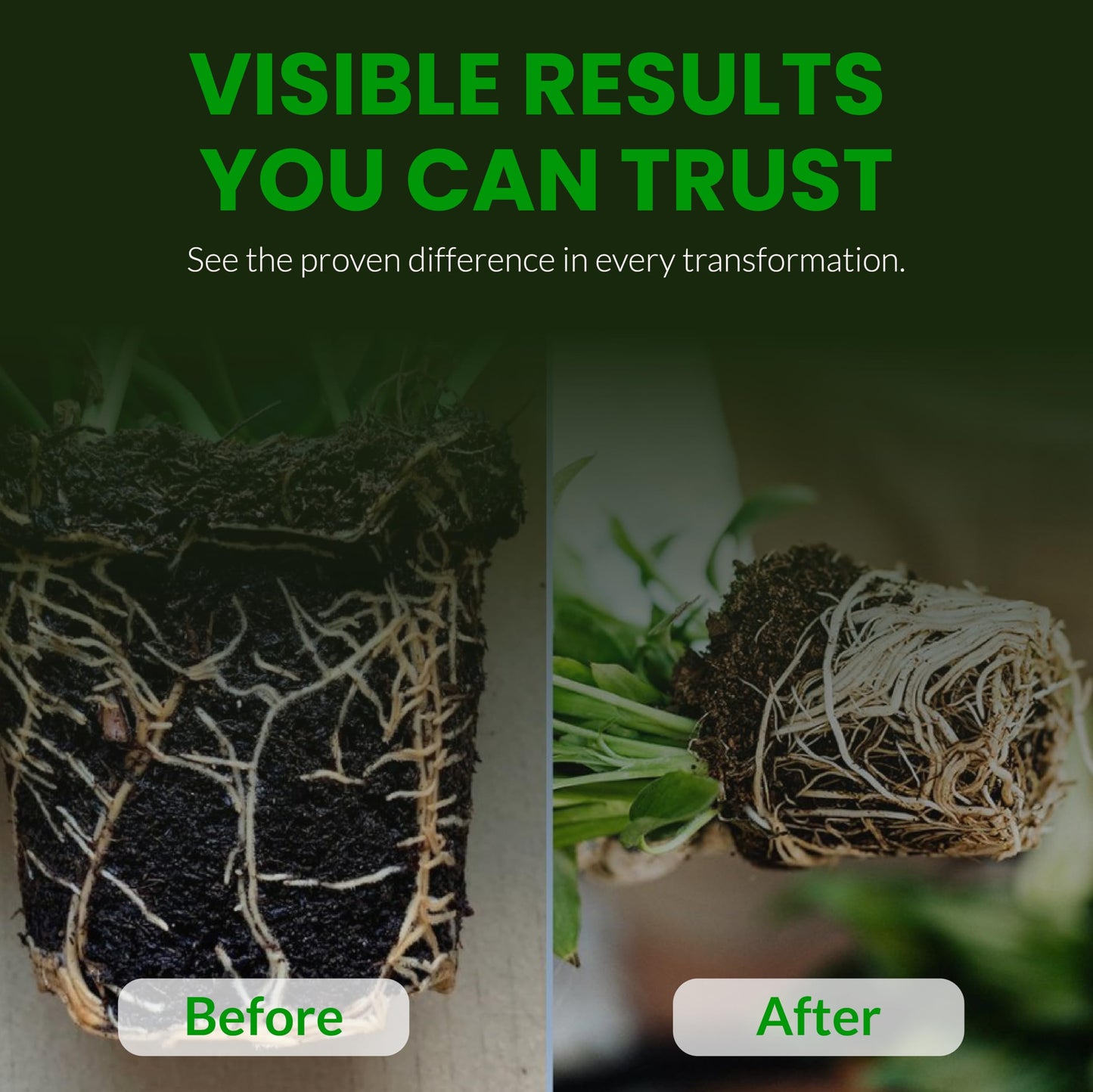 Humboldts Secret Plant Enzymes | 7,000 Active Units per mL | Root & Soil Enzyme Additive for Hydroponic and Aeroponic Systems | Boosts Growth and Root Strength for Maximum Nutrient Uptake | 8 Ounce