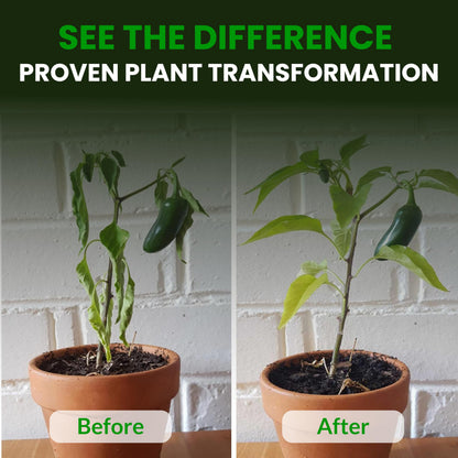 Humboldts Secret CalMag and Iron Plant Supplement