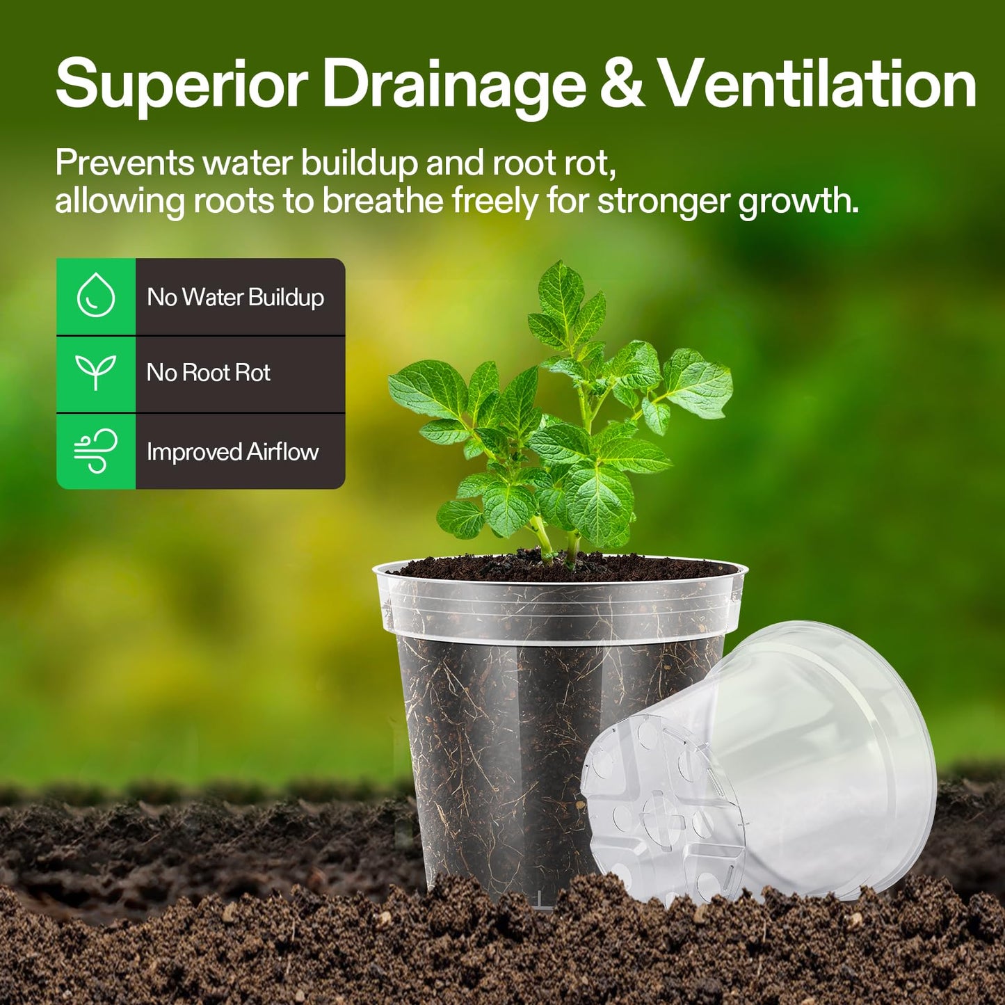 VIVOSUN 40 Packs 3/4/5/6 Inch Clear Nursery Pots with Drainage Holes, Reinforced Plastic Seedling Pots for Plants, Flowers, Cuttings, and Succulents, 40 pcs Plant Labels