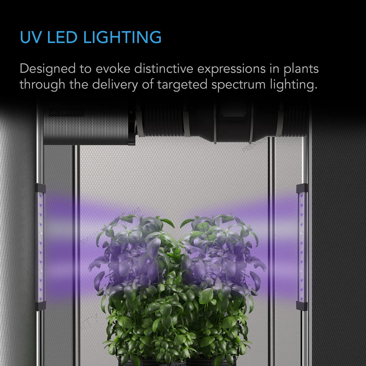 AC Infinity IONBEAM Supplemental Grow Lights, Multiple Options