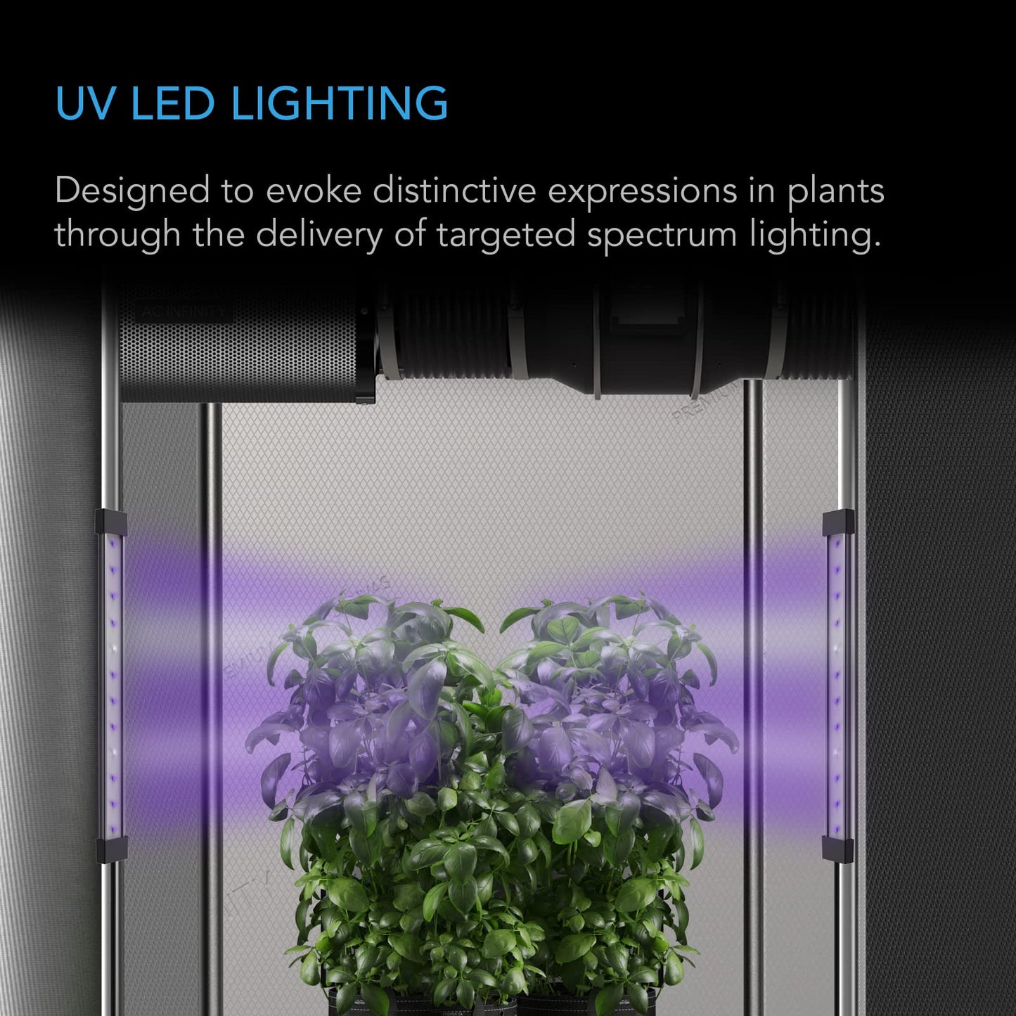 AC Infinity IONBEAM S16, Full Spectrum LED Grow Light Bars 16”, Deeper Penetration Samsung LM301H EVO Diodes and Digital Dimming Timer Controller, for Veg Bloom Indoor Plants, Grow Tents, Greenhouses