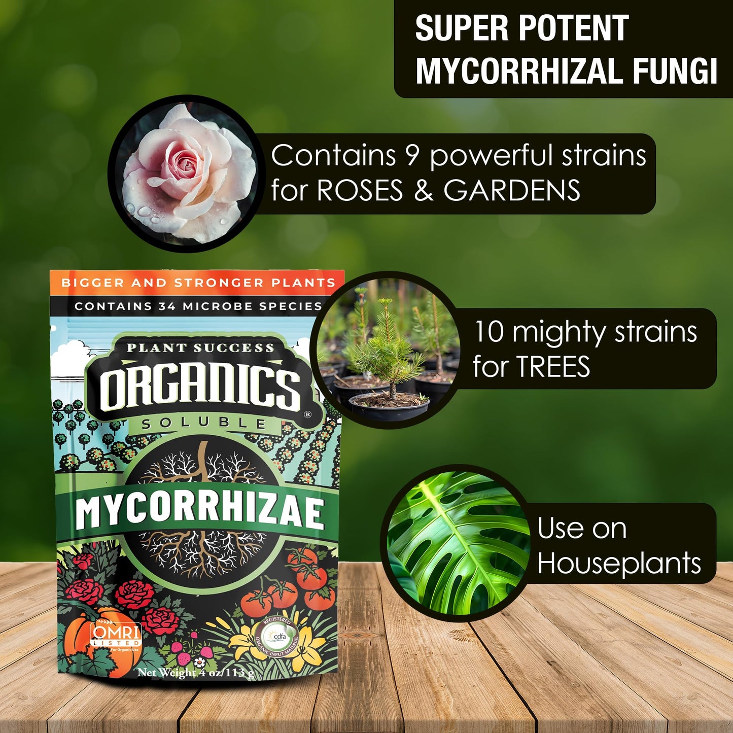 Mycorrhizal Fungi OMRI Organic Root Enhancer for Plant Success, Super Potent 20 Strain ECTO and ENDO Blend for Trees, Vegetables and Houseplants, Beneficial Bacteria Included