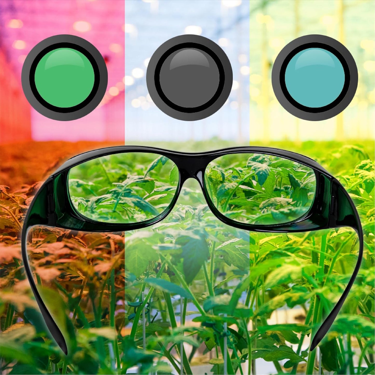 Humboldts Secret Indoor LED Grow Room Glasses | Grow Light Glasses LED Protection From Full Spectrum, Red/Blue, & Yellow Lights | Interchangeable Magnetic Sunglasses With UVA/UVB Blocking Protection