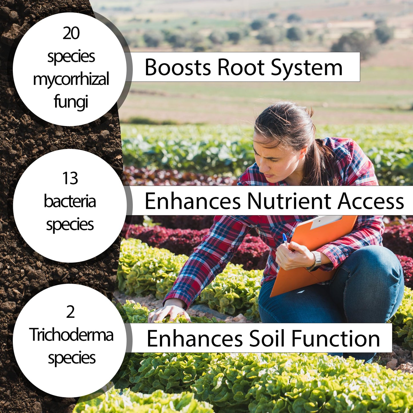 Mycorrhizal Fungi OMRI Organic Root Enhancer for Plant Success, Super Potent 20 Strain ECTO and ENDO Blend for Trees, Vegetables and Houseplants, Beneficial Bacteria Included