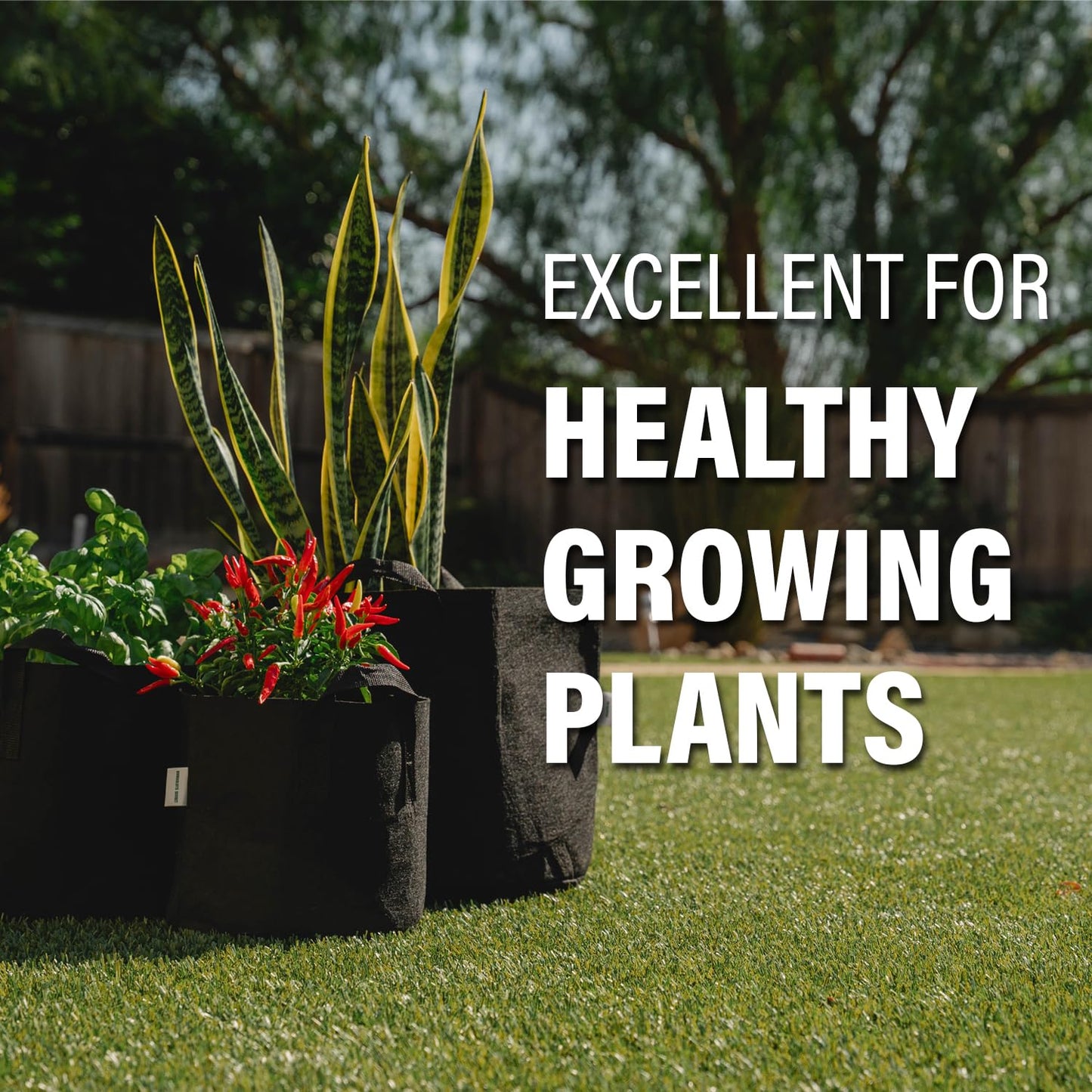 Humboldts Secret Fabric Grow Bags - Non Woven Fabric Plant Pots - Reusable Garden Bags - Plant Grow Bags for Indoor and Outdoor Plants - Thick Fabric Pots with Handles (5-Pack) (10 Gallon)