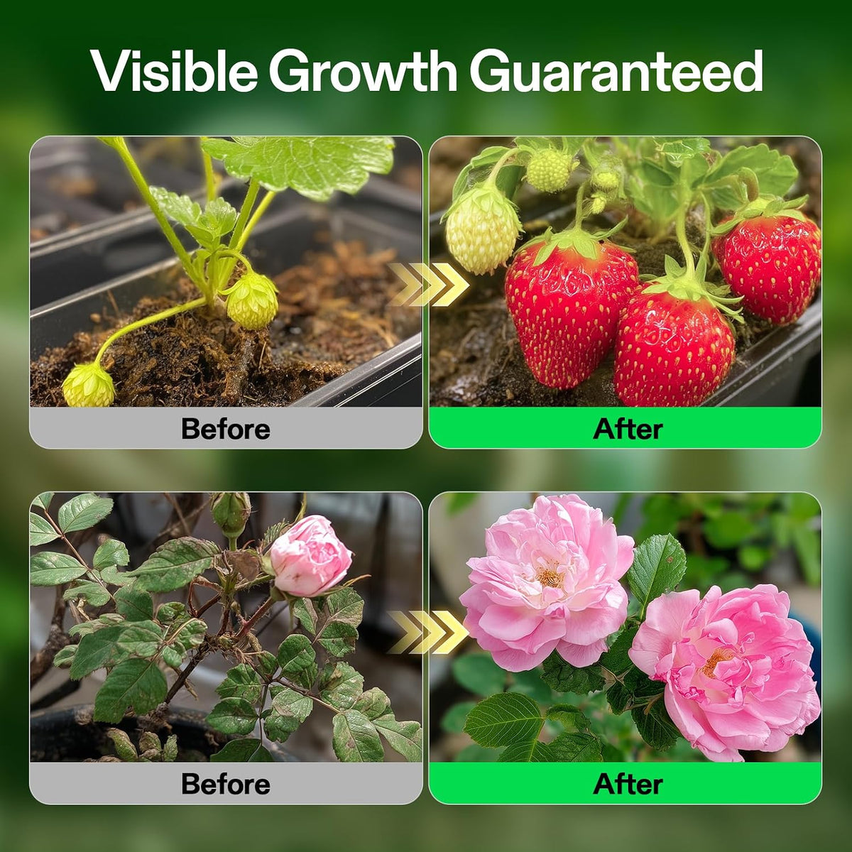 VIVOSUN Base A and B Liquid Nutrients, Size and Pack Options