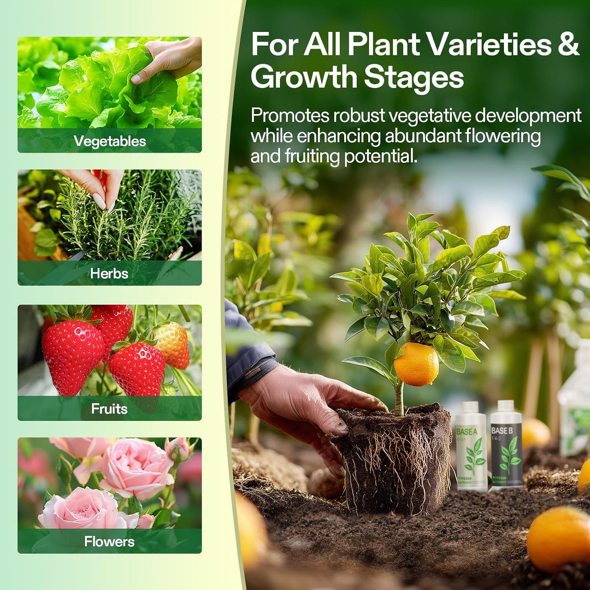VIVOSUN Base A and B Liquid Nutrients, Size and Pack Options
