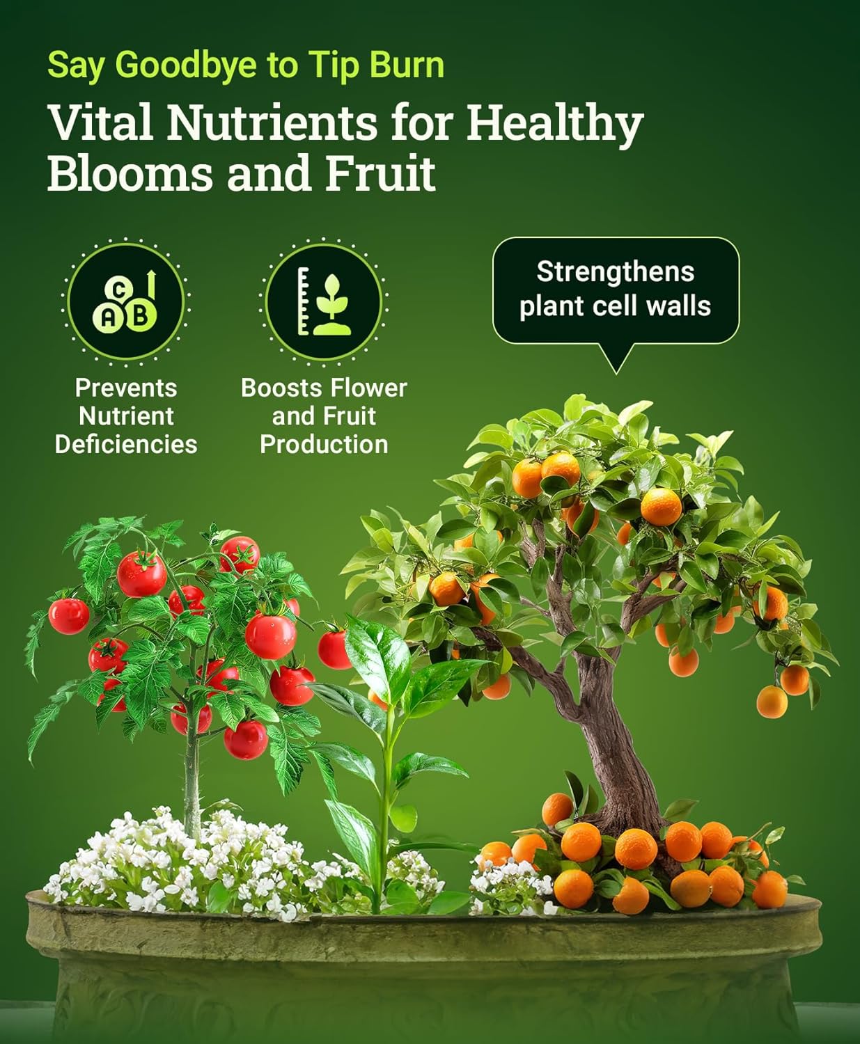 Fox Farm Cultivation Nation Cal-Mag Supplement - Formula with 3% Calcium & 1% Magnesium for Flowering & Fruiting, Ideal for Hydroponics, Soil, & All Growing Environment, NPK 4-0-0 (1 Pint)