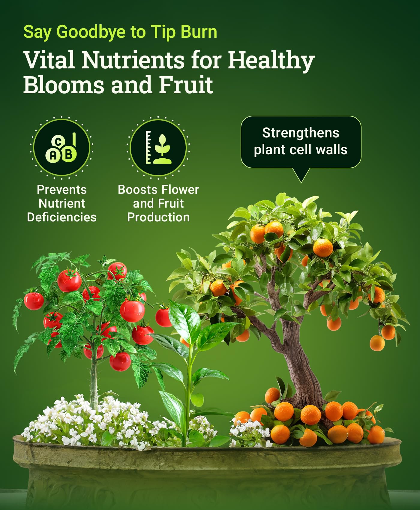 Fox Farm Cultivation Nation Cal-Mag Supplement - Formula with 3% Calcium & 1% Magnesium for Flowering & Fruiting, Ideal for Hydroponics, Soil, & All Growing Environment, NPK 4-0-0 (1 Quart)