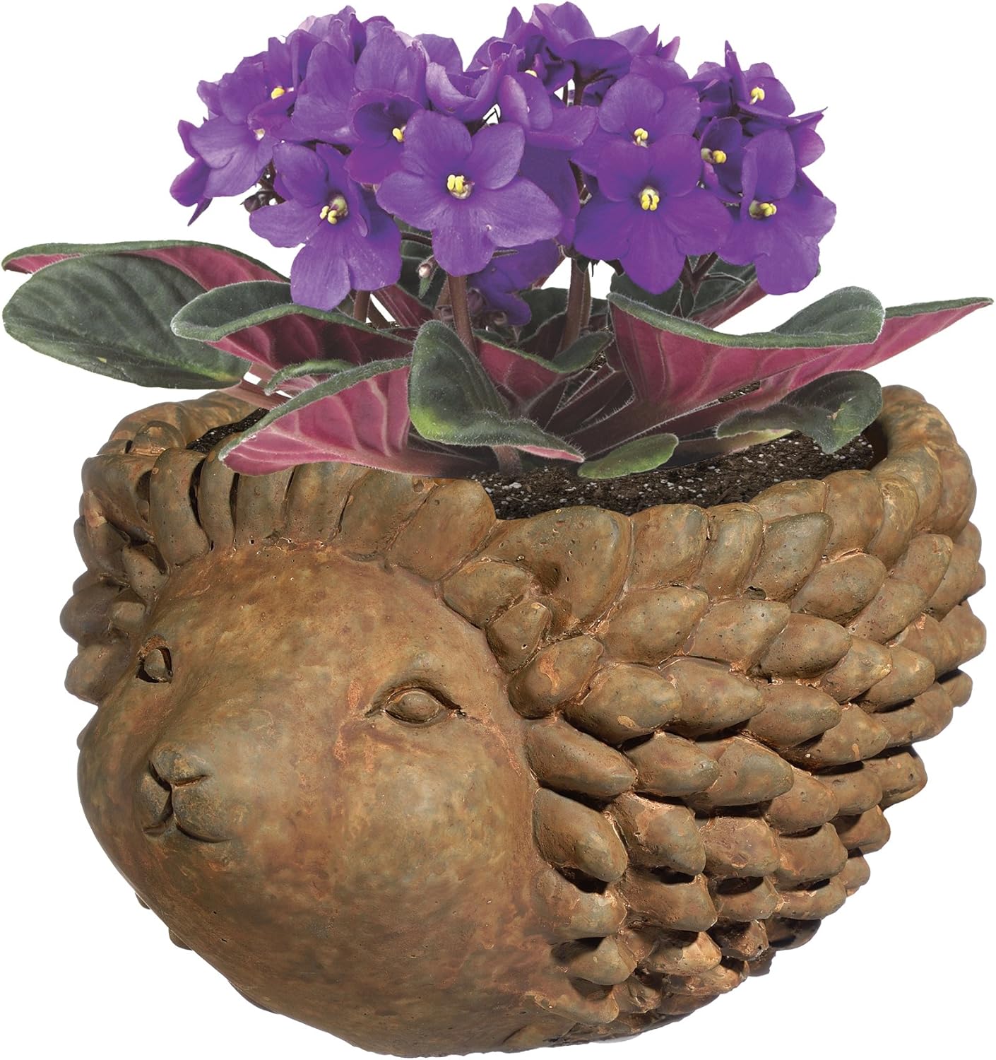 Classic Home and Garden Cement Buddies Animal Planter - Cute Desk Decoration - UV Coated Animal Vase w/ Drain Plug - Succulent Plant Pot for Indoor/Outdoor Use (Hedgehog, Rust, Small)