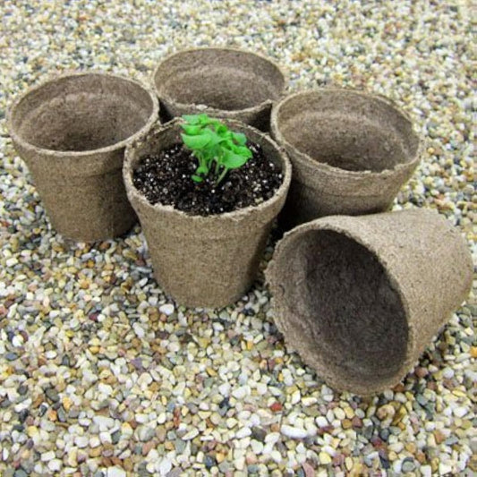 Jiffy 2-1/4" Round Peat Pots - OMRI Listed Organic - 100ct