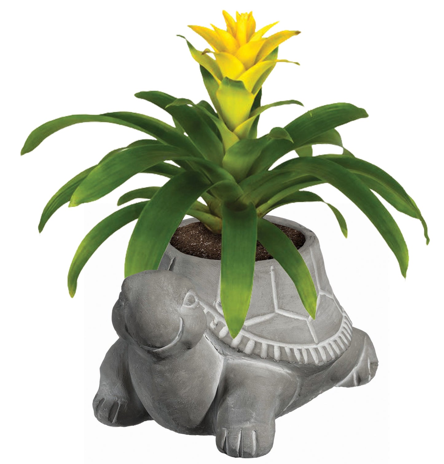 Classic Home and Garden Cement Buddies Animal Planter - Cute Desk Decoration - UV Coated Animal Vase w/Removable Drain Plug - Succulent Planter for Indoor/Outdoor Use (Bird Planter, Rust, Large)