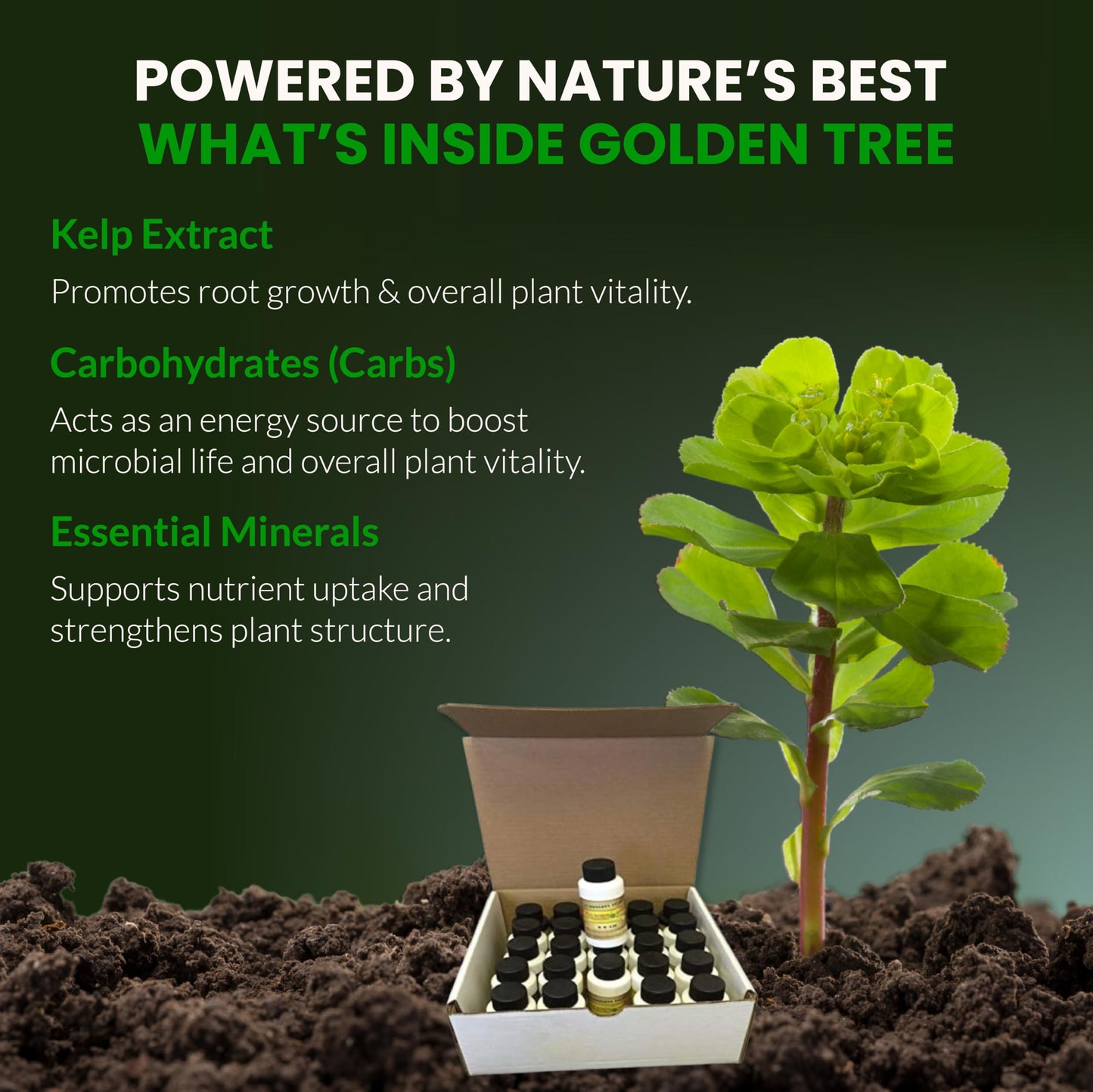 Humboldts Secret Golden Tree Liquid Plant Food | Enhances Growth Indoors or Outdoors | All-in-One Plant Nutrients for Vegetables, Trees, Flowers, Fruits, Roses, Lawns, Tomatoes | 16 Ounce