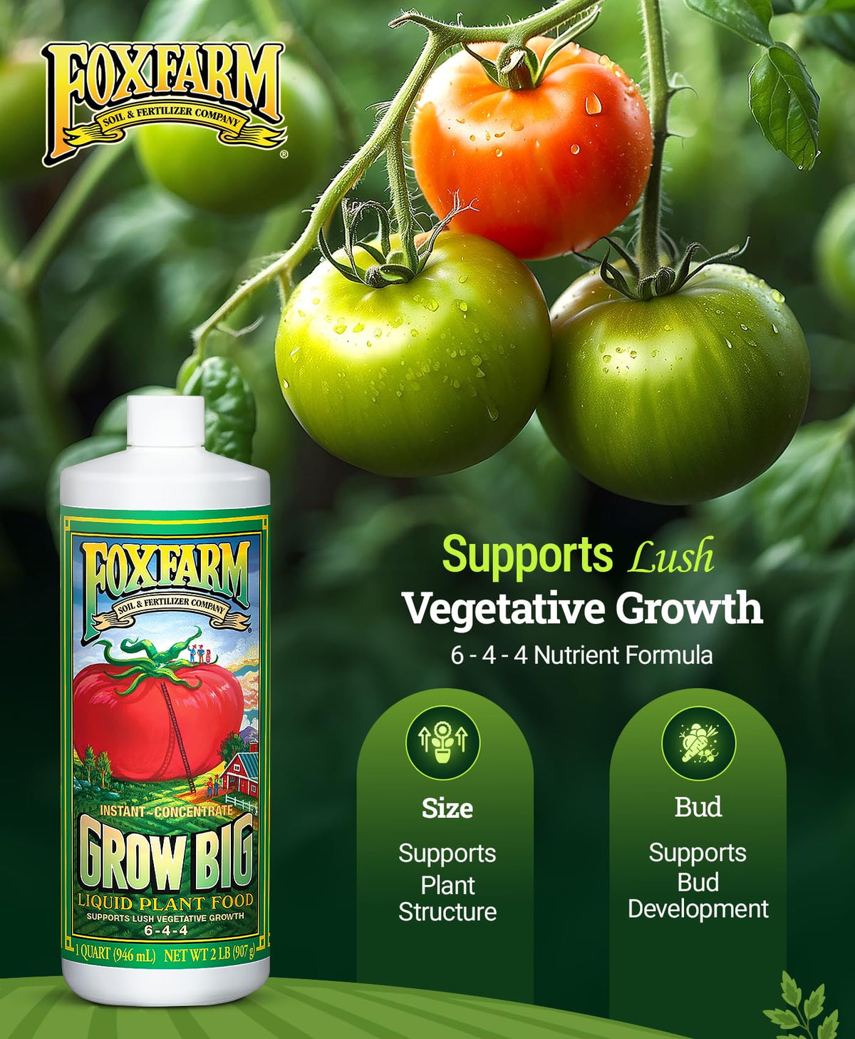 FoxFarm Grow Big Liquid Plant Food