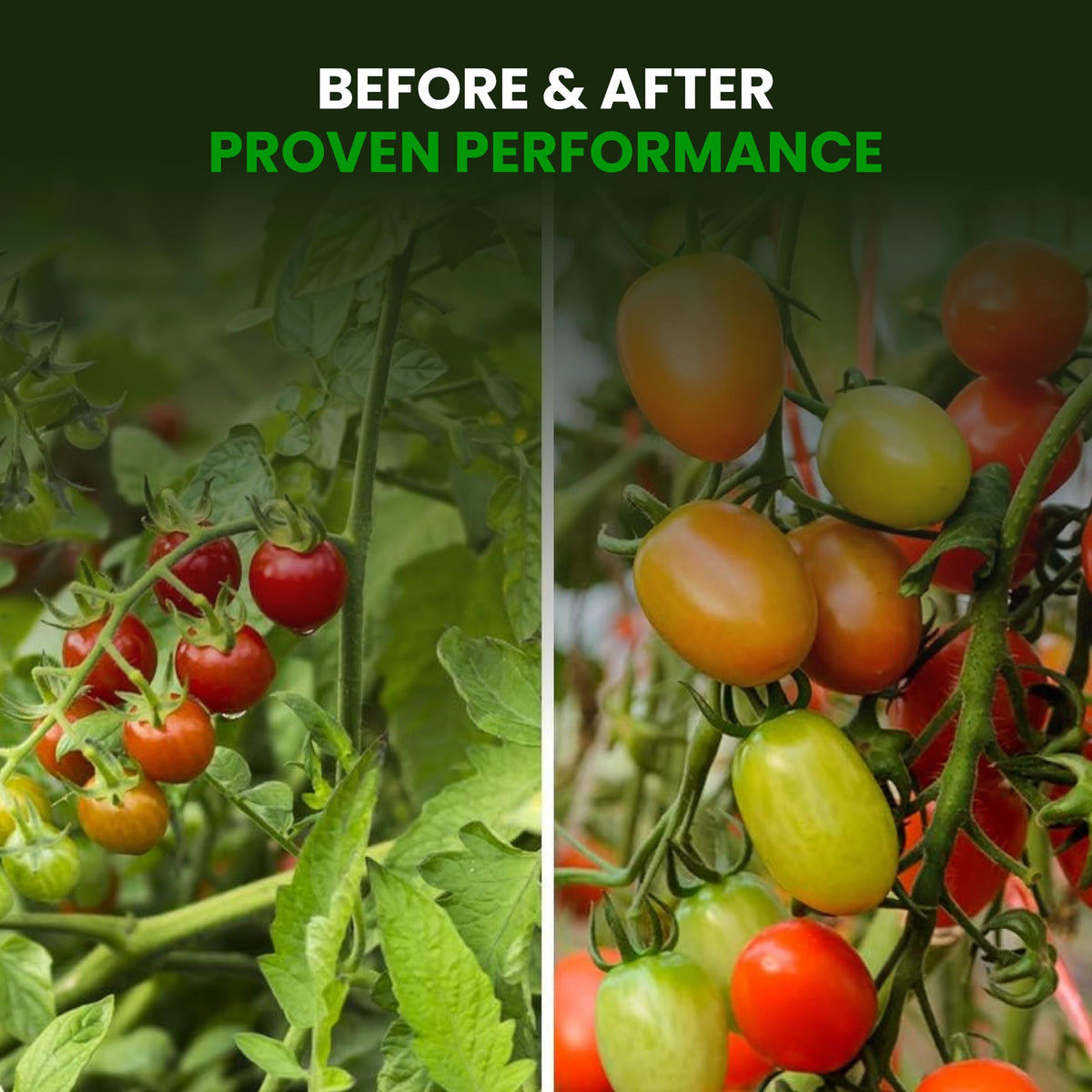 Humboldts Secret Sweet and Sticky Plant Energy Additive