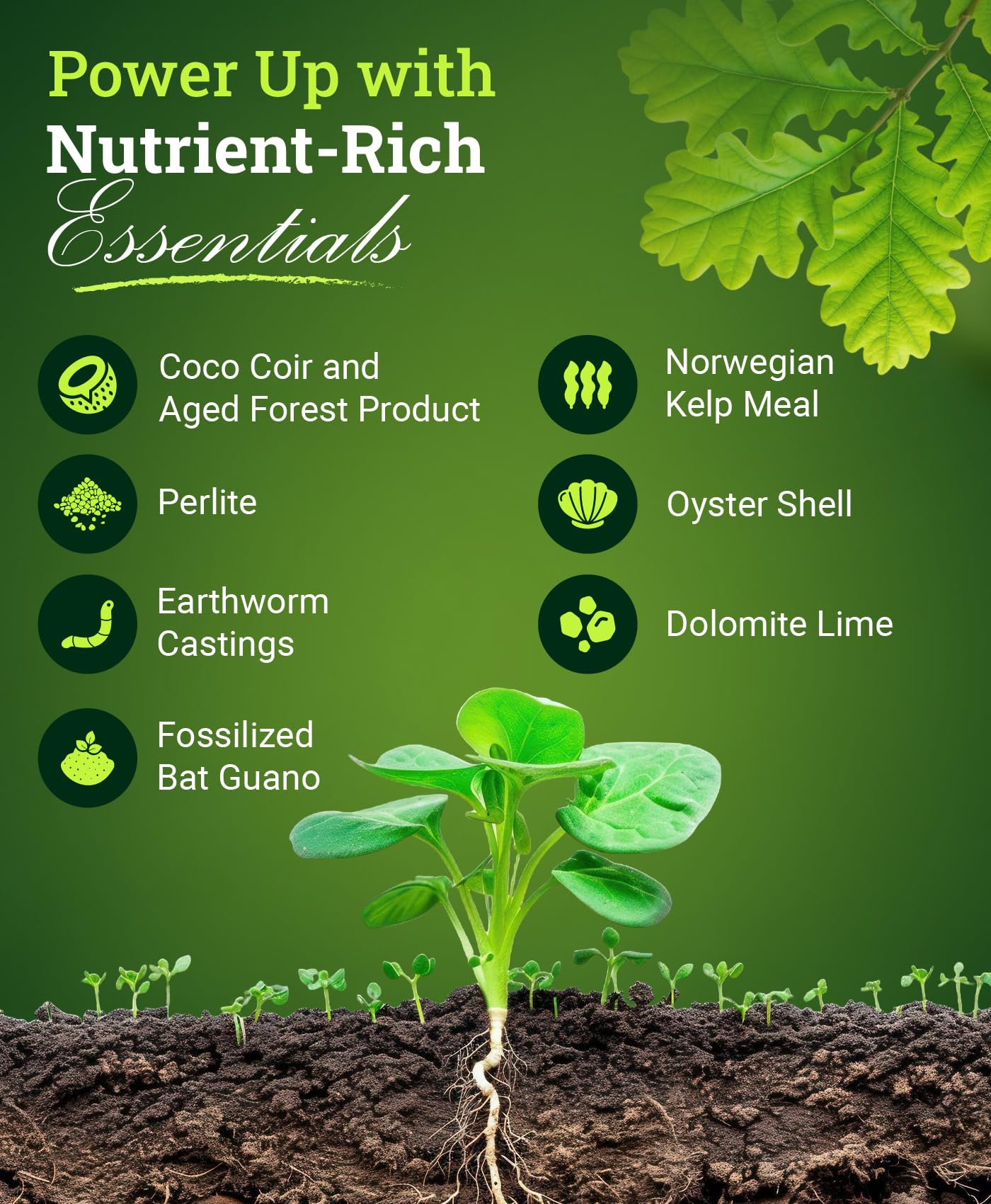 FoxFarm BushDoctor Coco Loco Soil Potting Mix, Triple-Washed for Reduced Salt, Retains Water, Includes Bat Guano & Earthworm Castings - Ideal for All Gardens 12 Quart (2 Pack)