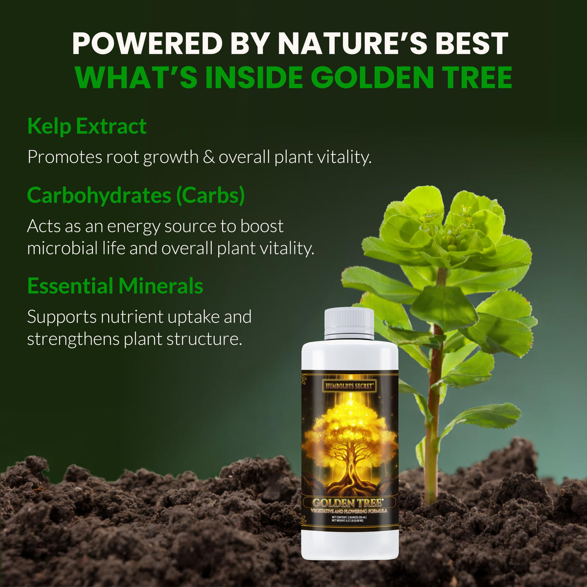 Humboldts Secret Golden Tree Plant Food