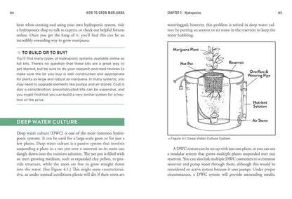 How to Grow Marijuana: The Easiest Guide to Growing Weed