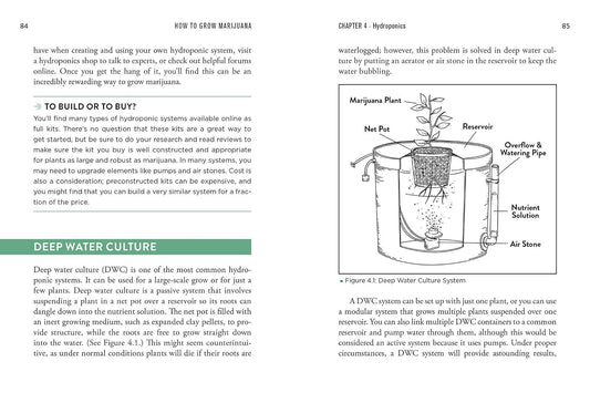 How to Grow Marijuana: The Easiest Guide to Growing Weed