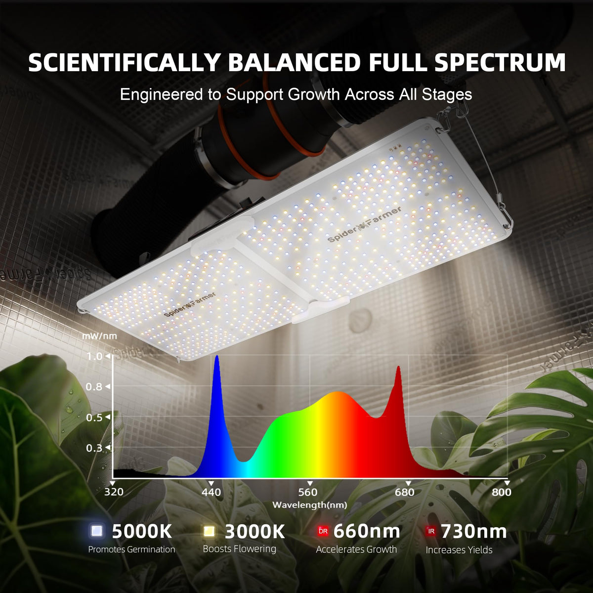 Spider Farmer SF1000 LED Grow Lights for Indoor Plants in 2x2/3x3 Grow Tent