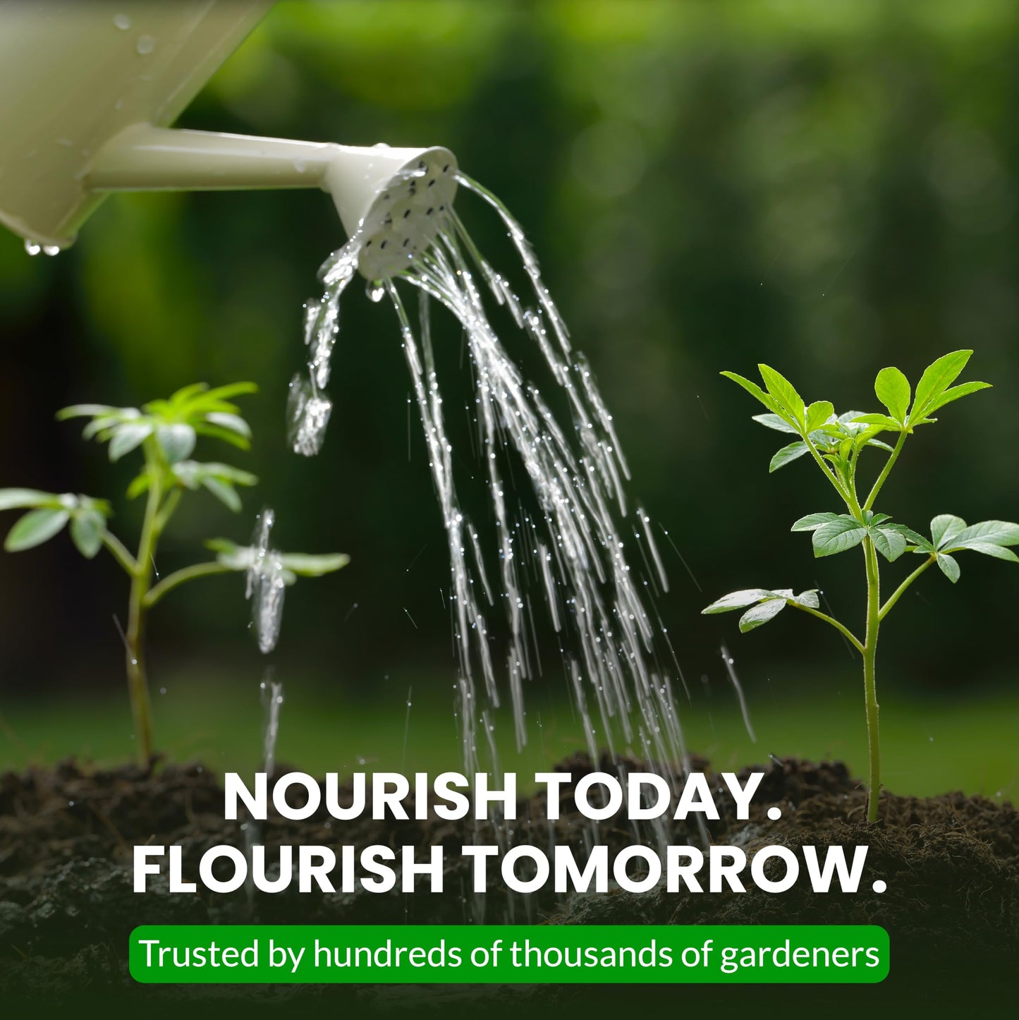 Humboldts Secret Tree Trunk | Potassium Silicate Additive | Liquid Fertilizer for Thicker Stalks, Stress Resistance & Branch Development | Indoor & Outdoor Plant Food, Hydroponic Nutrients, 32 Ounce