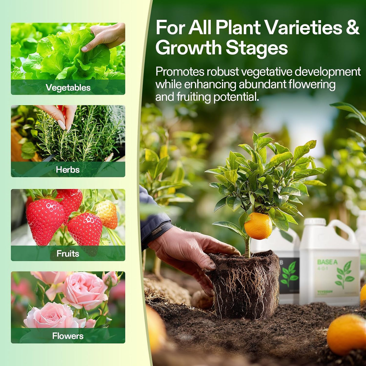 VIVOSUN Base A and B Liquid Nutrients, Size and Pack Options