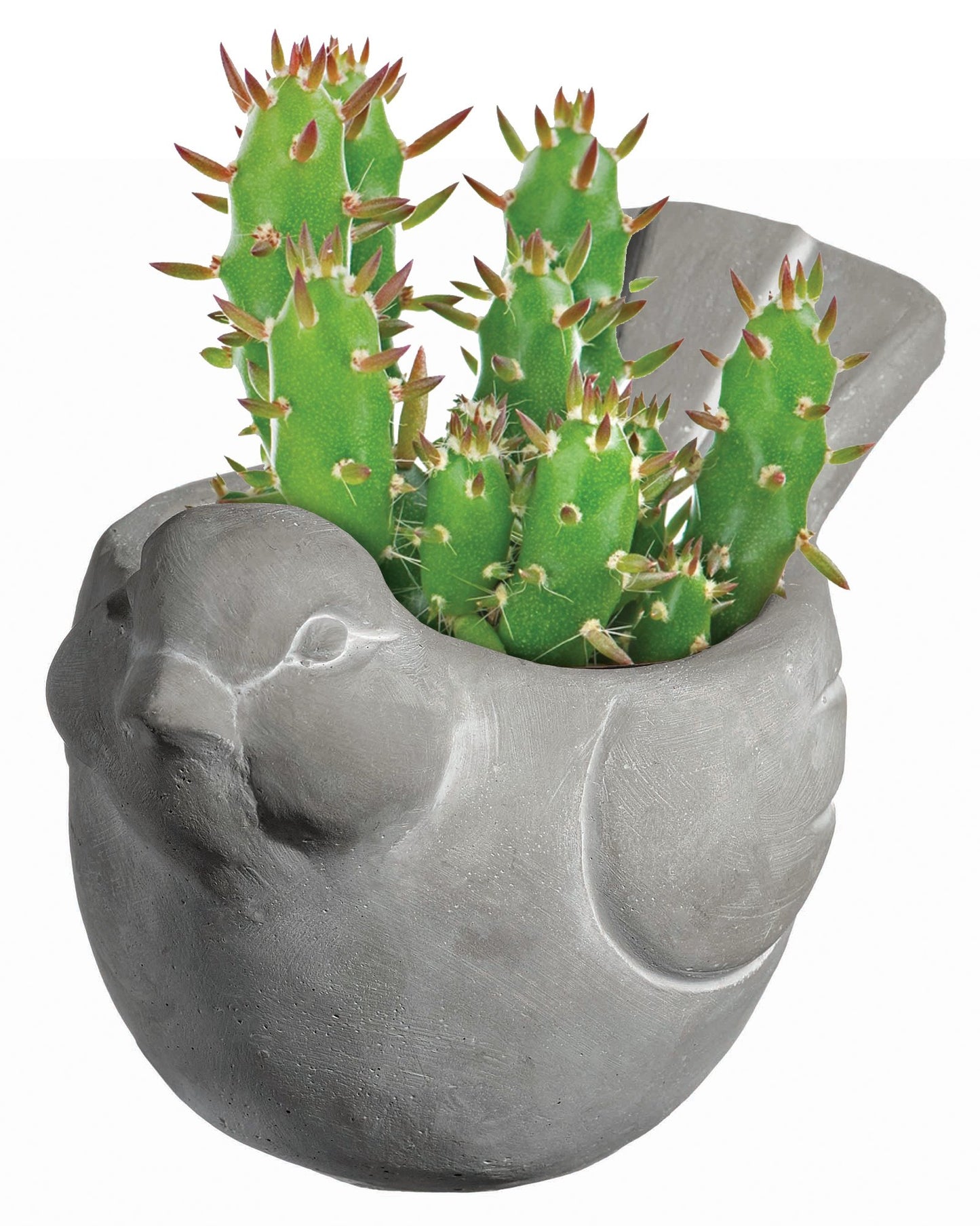 Classic Home and Garden Cement Buddies Animal Planter - Cute Desk Decoration - UV Coated Animal Vase w/Removable Drain Plug - Succulent Planter for Indoor/Outdoor Use (Bird Planter, Rust, Large)