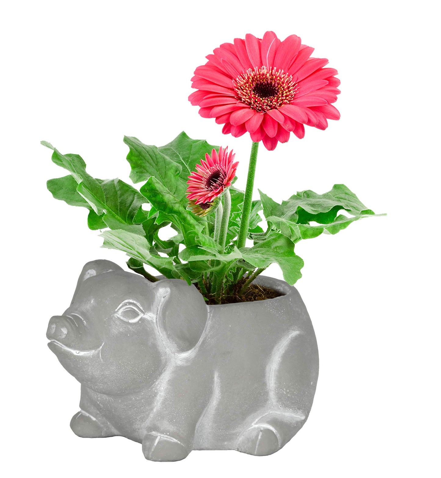 Classic Home and Garden Cement Buddies Animal Planter - Cute Desk Decoration - UV Coated Animal Vase w/Removable Drain Plug - Succulent Planter for Indoor/Outdoor Use (Bird Planter, Rust, Large)