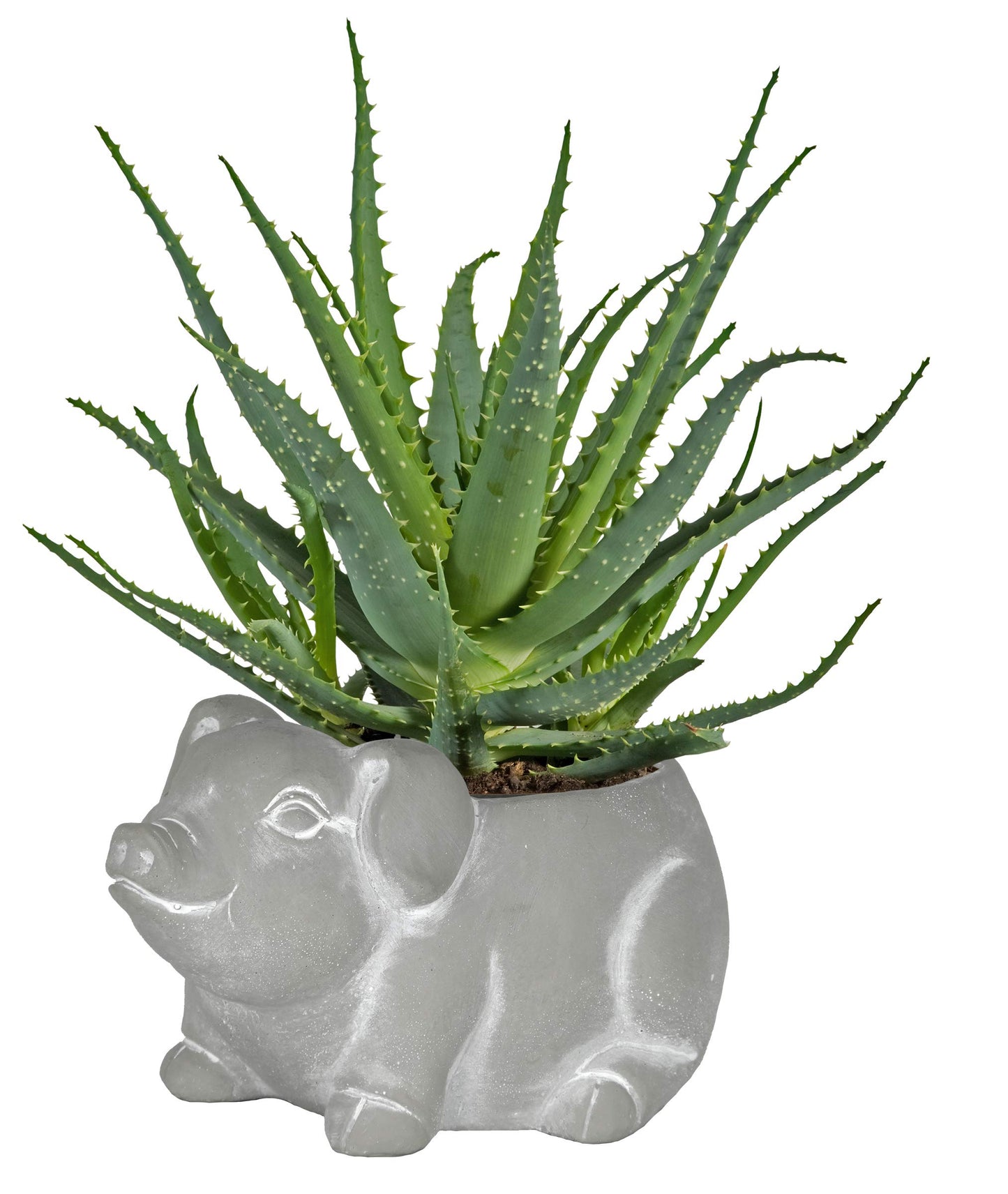 Classic Home and Garden Cement Buddies Animal Planter - Cute Desk Decoration - UV Coated Animal Vase w/Removable Drain Plug - Succulent Planter for Indoor/Outdoor Use (Bird Planter, Rust, Large)