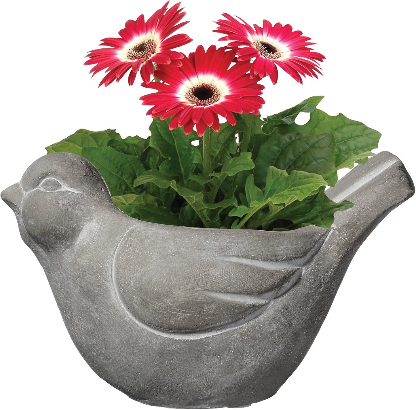Classic Home and Garden Cement Buddies Animal Planter - Cute Desk Decoration - UV Coated Animal Vase w/Removable Drain Plug - Succulent Planter for Indoor/Outdoor Use (Bird Planter, Natural, Large)