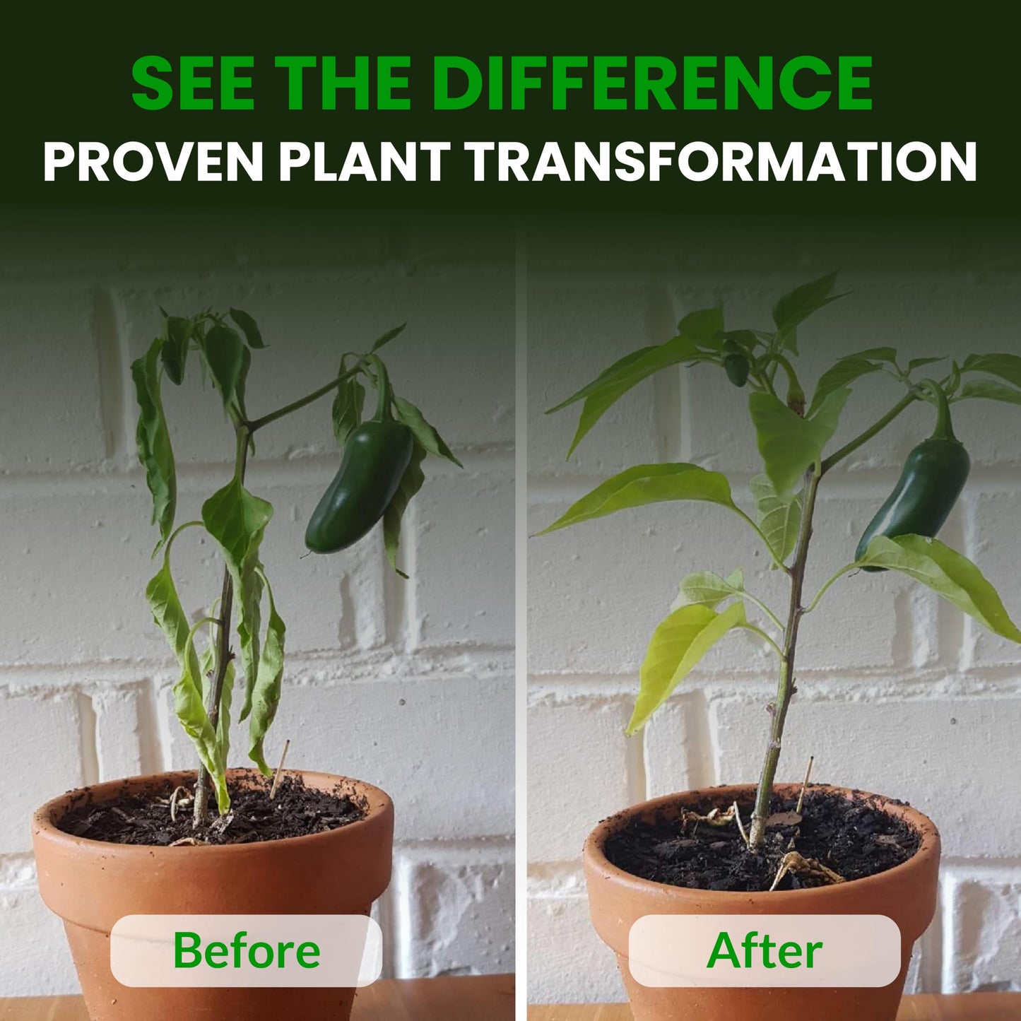 Humboldts Secret CalMag & Iron | Calcium, Magnesium & Chelated Iron Nutrient Fertilizer | Hydroponic Supplies for Vegetative & Flowering Growth in Soil, Coco, Hydroponics or RO Water | 32 Ounce