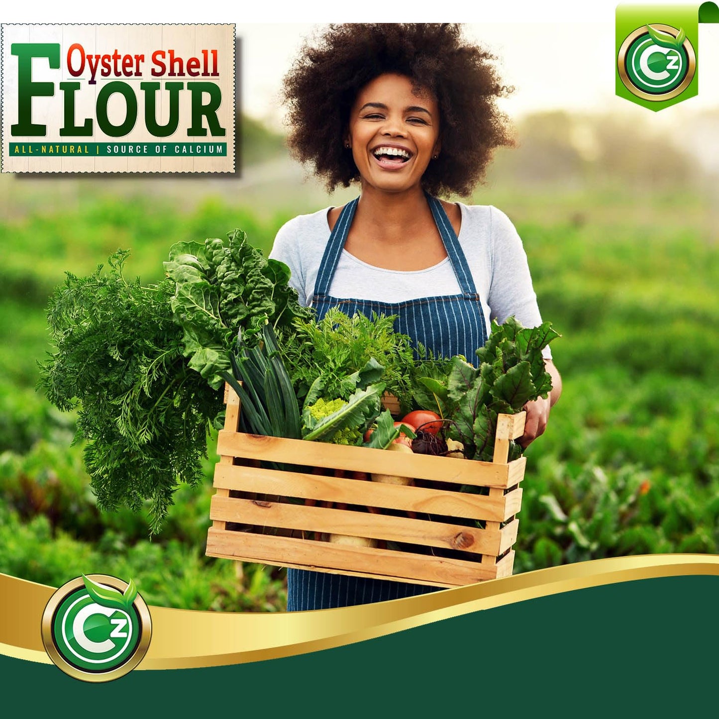 Oyster Shell Flour 5LB – Made in USA Soil Amendment Fertilizer for Indoor/Outdoor Plants & Gardens. High Calcium Supplement for Chickens, Reptiles, Worm Compost Bins, Mushroom Cultivation. OMRI Listed