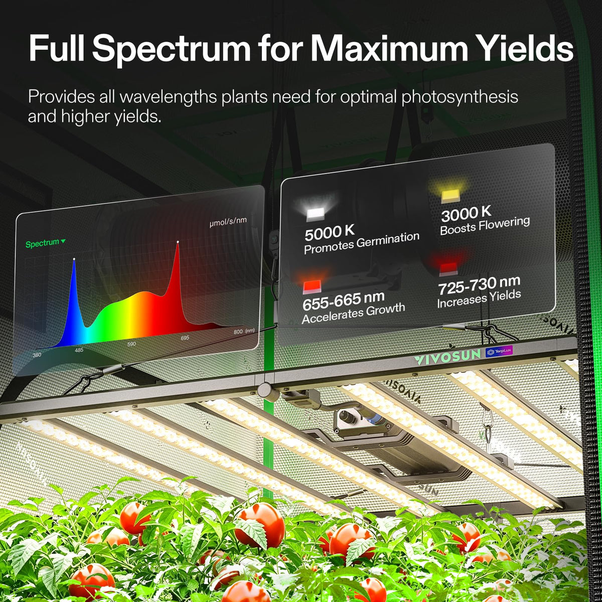 VIVOSUN Smart Grow Tent Kits, Multiple Sizes