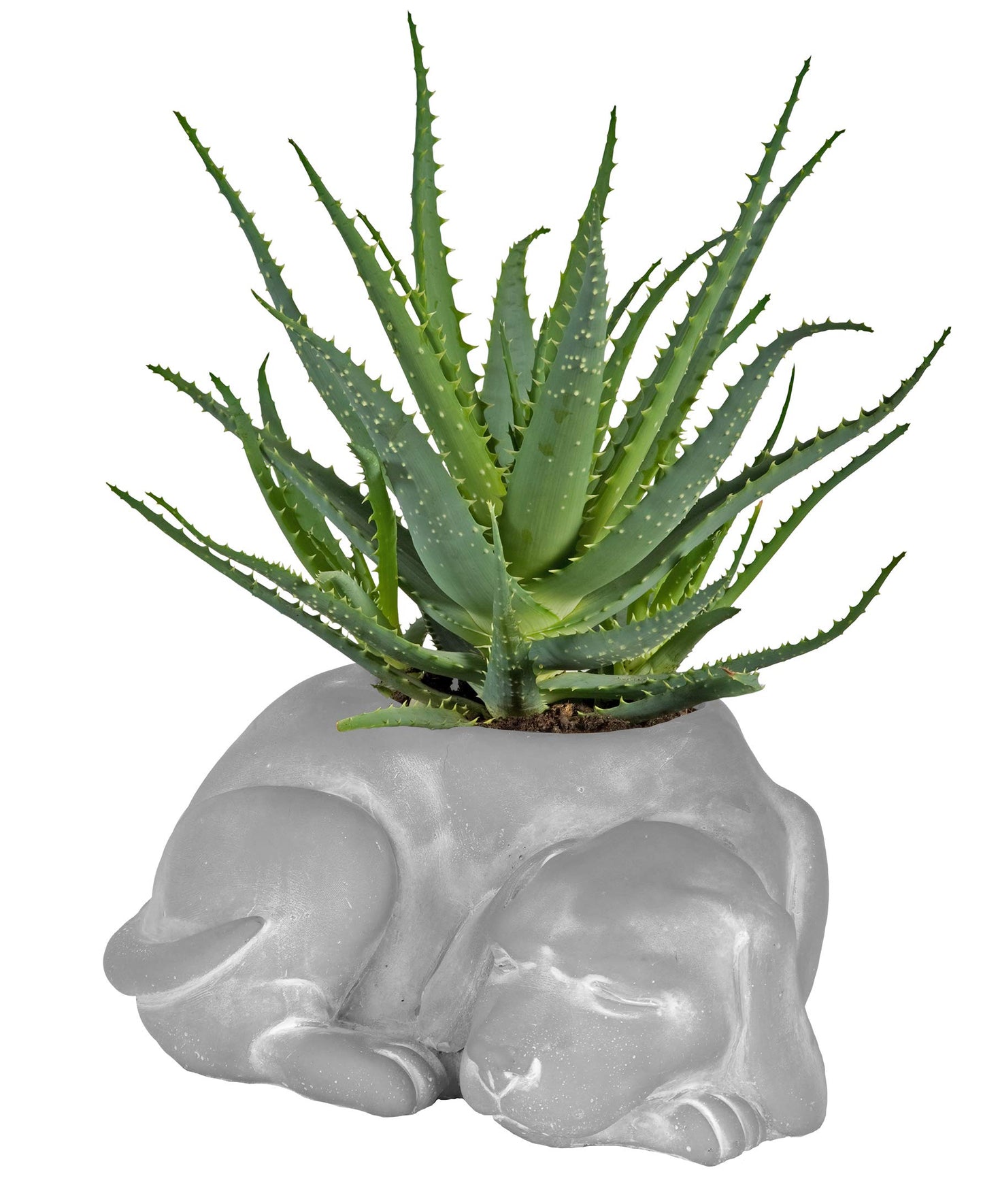 Classic Home and Garden Cement Buddies Animal Planter - Cute Desk Decoration - UV Coated Animal Vase w/Removable Drain Plug - Succulent Planter for Indoor/Outdoor Use (Bird Planter, Rust, Large)