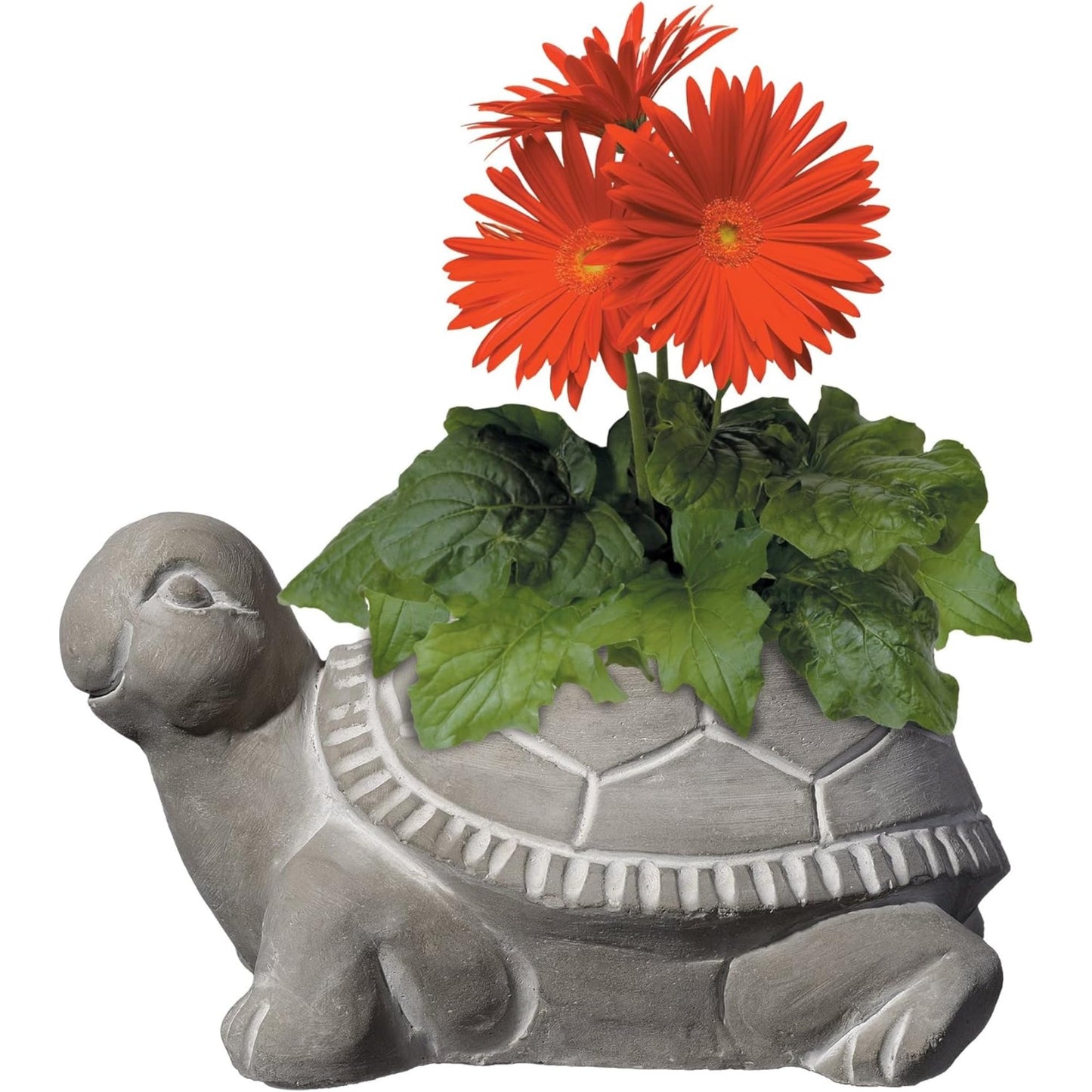 Classic Home and Garden Cement Buddies Animal Planter - Cute Desk Decoration - UV Coated Animal Vase w/Removable Drain Plug - Succulent Planter for Indoor/Outdoor Use (Bird Planter, Rust, Large)