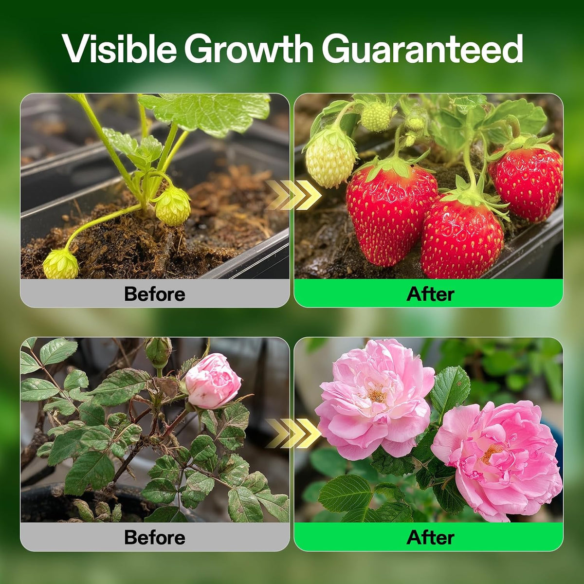 VIVOSUN Base A and B Liquid Nutrients, Size and Pack Options