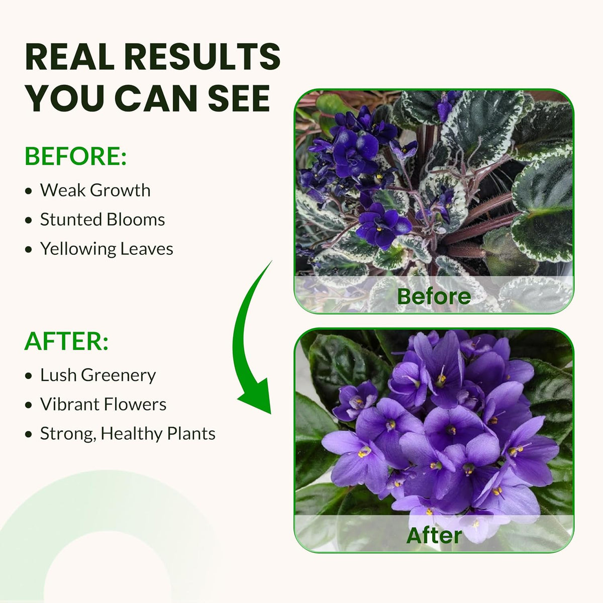 Humboldts Secret Base A and B Liquid Fertilizer