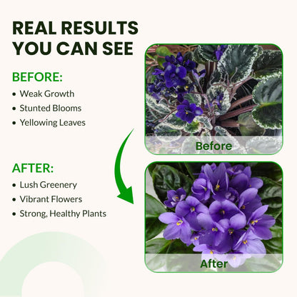Humboldts Secret Base A and B Liquid Fertilizer