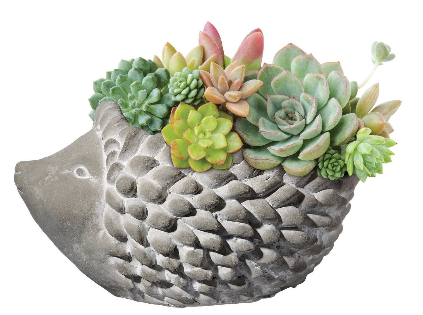 Classic Home and Garden Cement Buddies Animal Planter - Cute Desk Decoration - UV Coated Animal Vase w/Removable Drain Plug - Succulent Planter for Indoor/Outdoor Use (Bird Planter, Rust, Large)