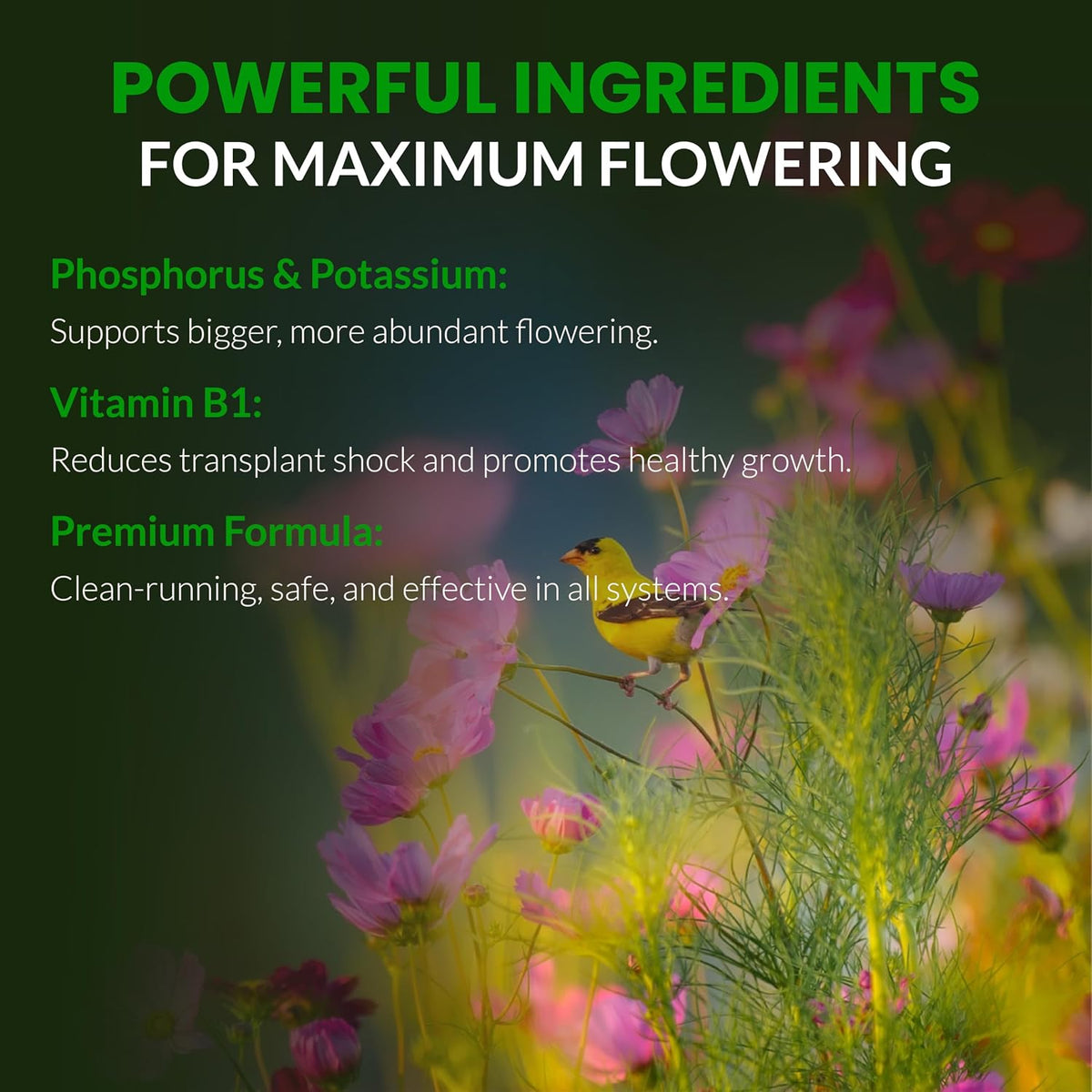 Humboldts Secret Flower Stacker Bloom Booster