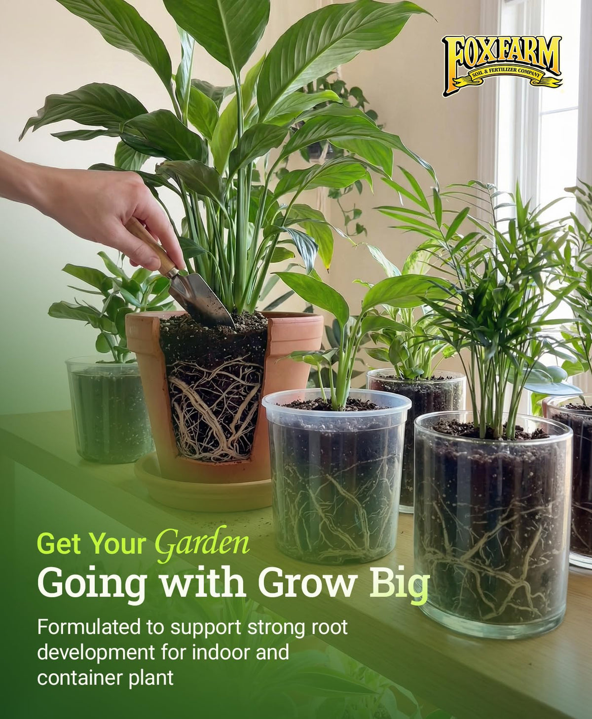 FoxFarm Grow Big Liquid Plant Food