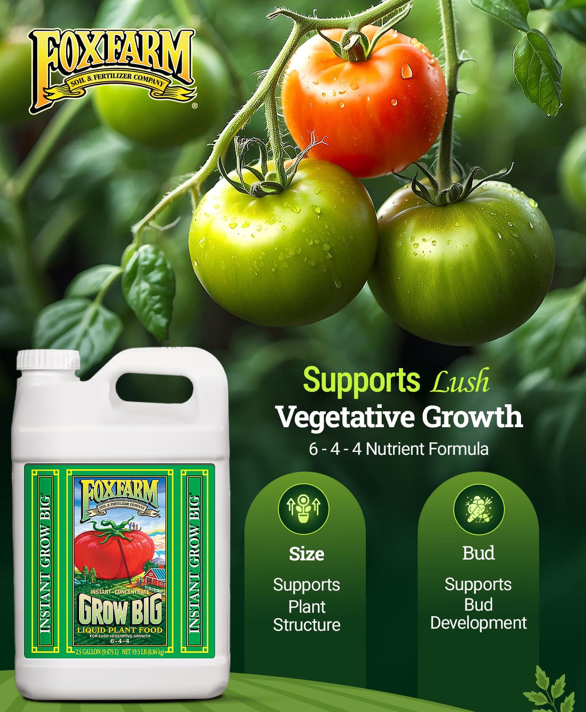 FoxFarm Grow Big Liquid Plant Food