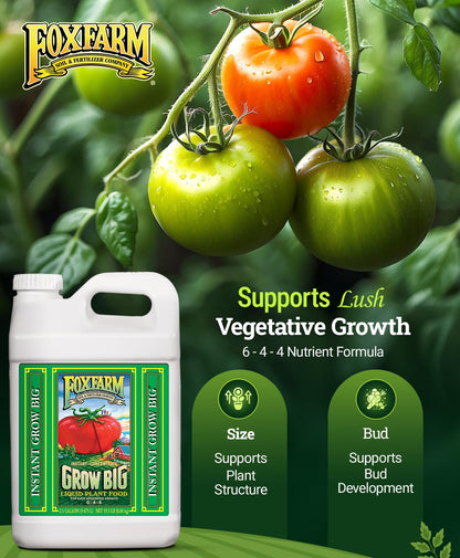 FoxFarm Grow Big Liquid Plant Food